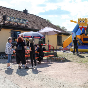 IMG 7153